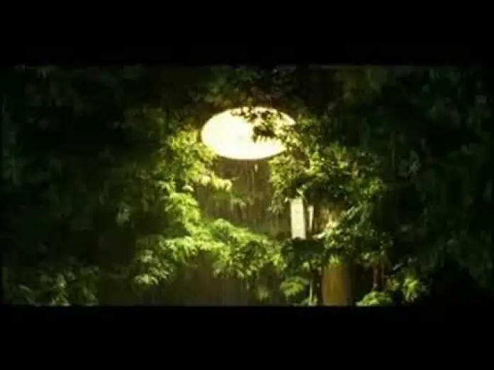 Видео к фильму 너는 내 운명 — You Are My Sunshine trailer