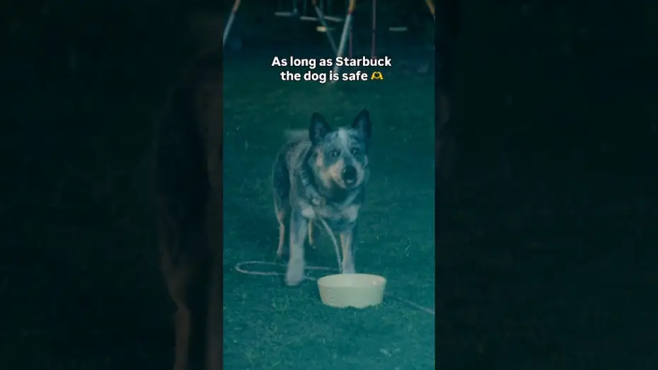 Видео к фильму На краю Оук-стрит — Always rooting for the dog...