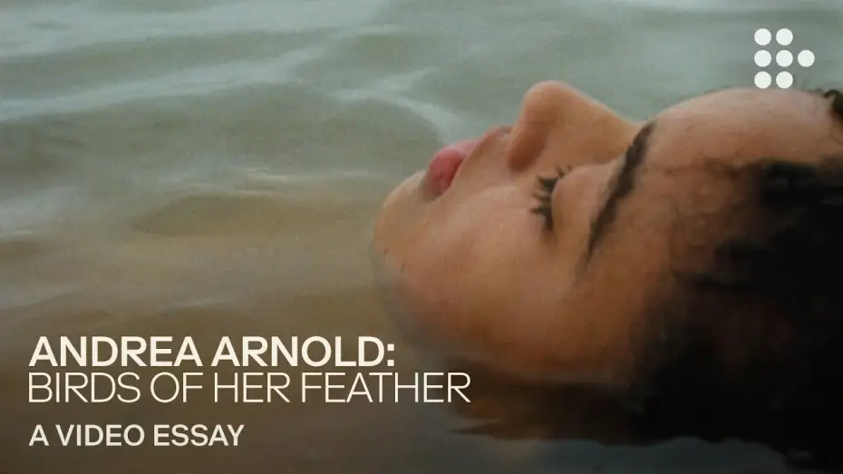 Видео к фильму Птица — Video essay: “Andrea Arnold: Birds of Her Feather”