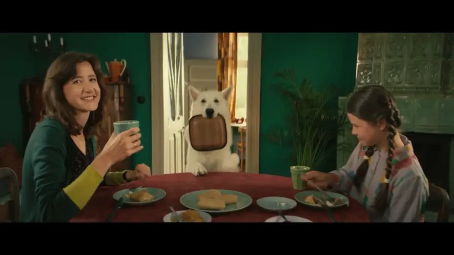 Видео к фильму O psie, który jeździł koleją — Lampo, el perro viajero - Tráiler