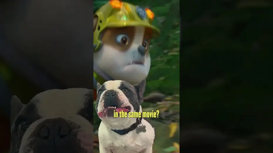 Видео к фильму Щенячий патруль: Динофильм — Puppy Trailer Reaction