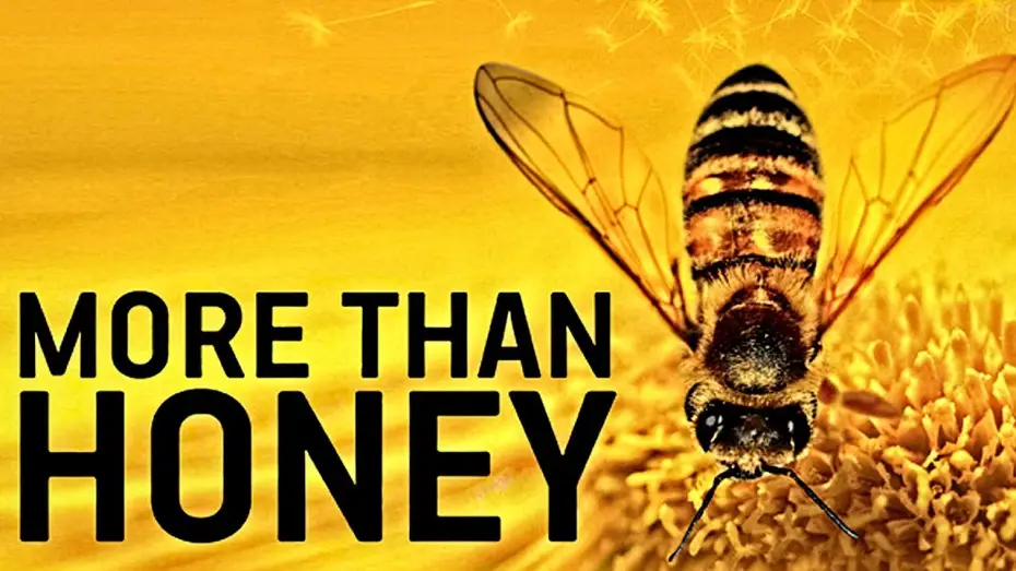 Видео к фильму Больше, чем мёд — MORE THAN HONEY Trailer German Deutsch HD 2012