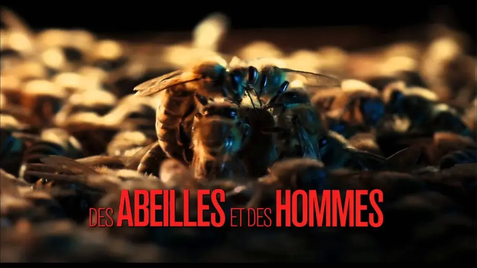 Видео к фильму Больше, чем мёд — Des Abeilles et des Hommes (bande-annonce)