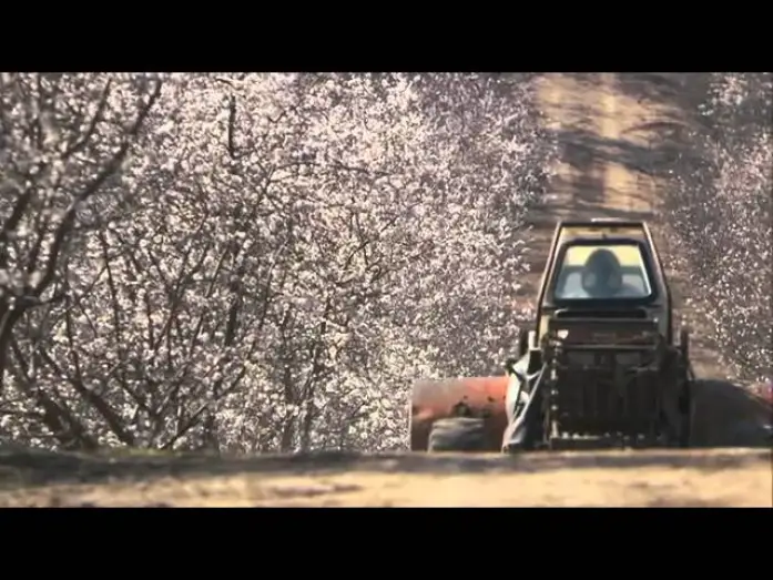 Видео к фильму Больше, чем мёд — More Than Honey - Official Trailer