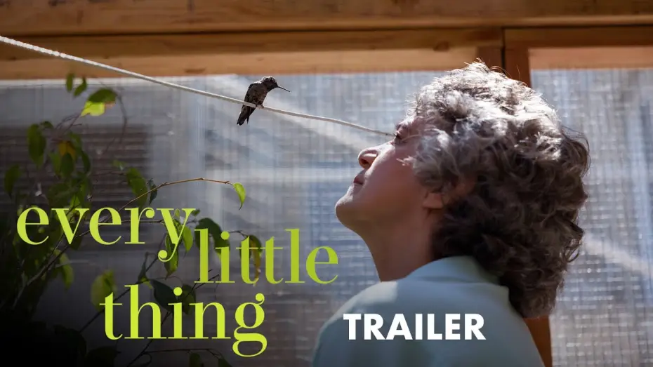 Видео к фильму Every Little Thing — Trailer