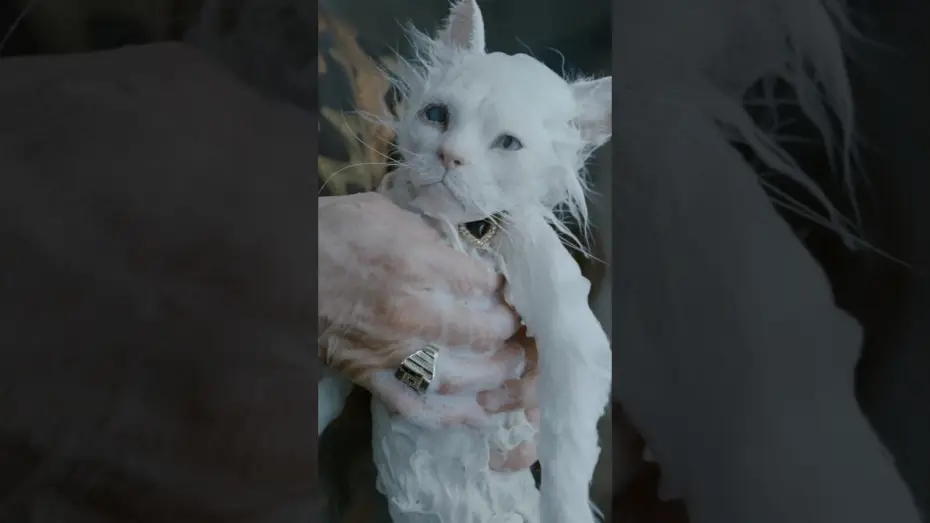 Видео к фильму Диггер — Ain’t Maggie sweet?