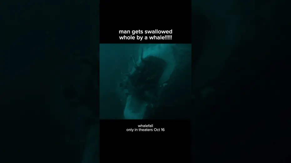 Видео к фильму Кит: Во тьме глубин — thats gonna leave a bruise