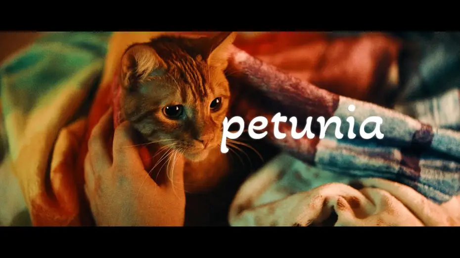 Видео к фильму Petunia — Petunia Trailer