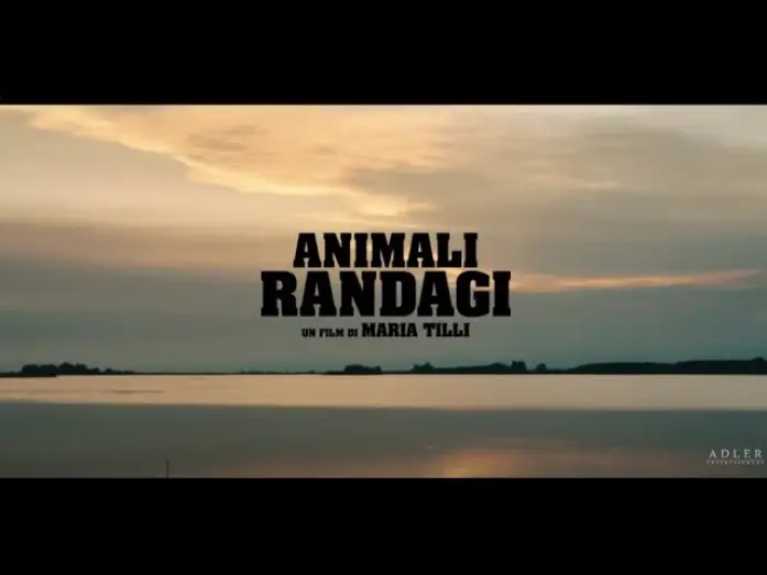 Видео к фильму Animali randagi — Animali Randagi di Maria Tilli | Trailer Ufficiale | Dal 27 Giugno al cinema