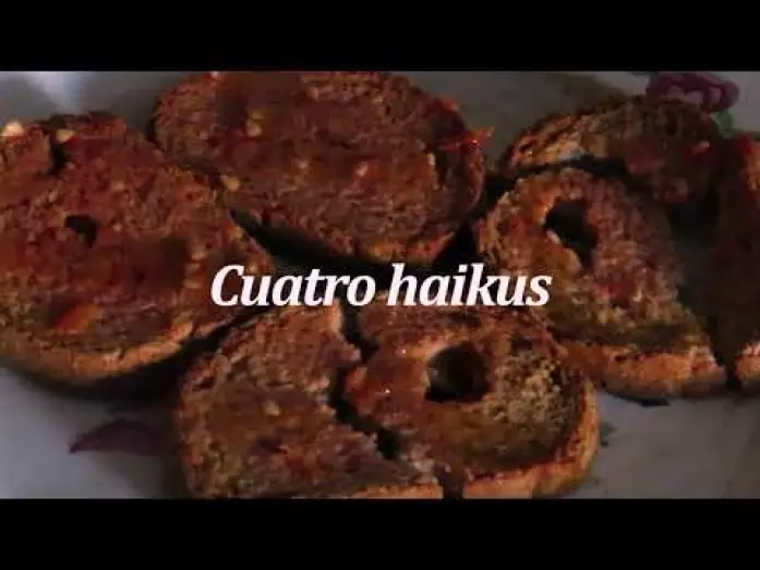 Видео к фильму Cuatro Haikus — Cuatro Haikus (Guillermo Amengual, 2023)