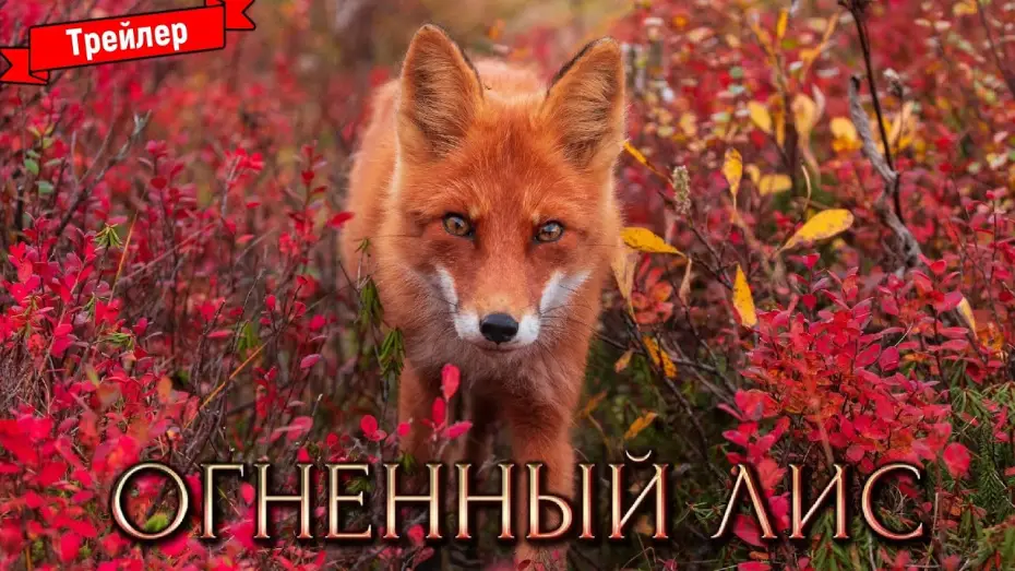 Видео к фильму Огненный лис — Огненный лис — трейлер