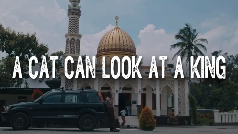 Видео к фильму A Cat Can Look at a King — Trailer A CAT CAN LOOK AT A KING - Official Selection JAFF (Jogja-NETPAC Asian Film Festival) 2024