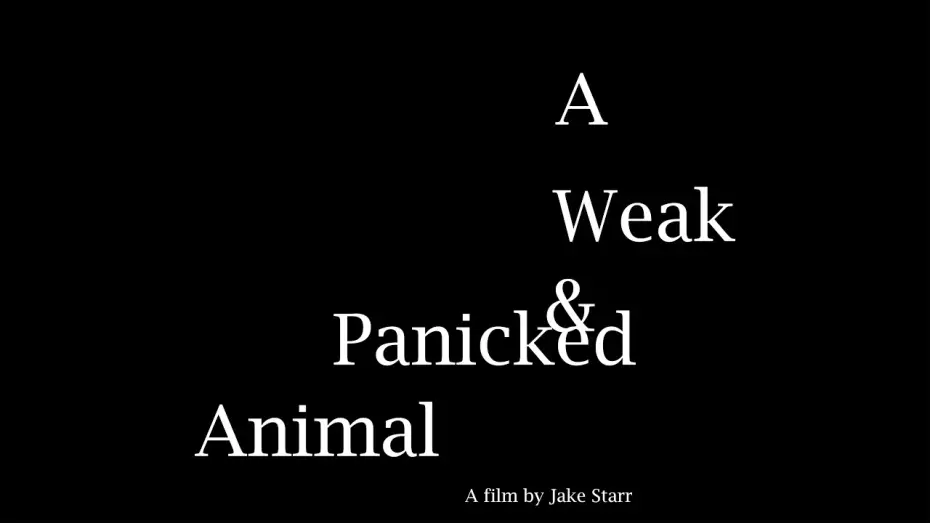 Видео к фильму A Weak & Panicked Animal | A Weak & Panicked Animal (2024) Trailer