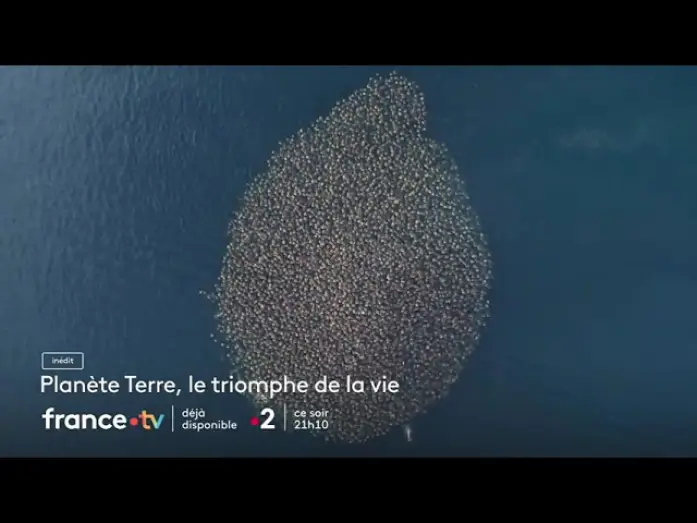 Видео к фильму Planète Terre, héros de la nature — [ Bande annonce ] Planète Terre, le triomphe de la vie