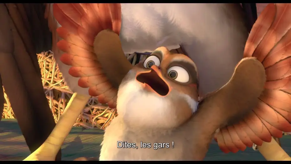 Видео к фильму Замбезия — DRÔLES D'OISEAUX Bande Annonce VOST