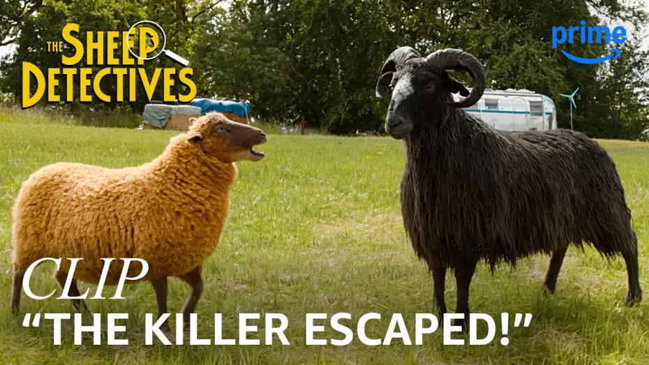 Видео к фильму Следствие ведут овечки — Lily & the Other Sheep Begin Their Muder Investigation - Clip