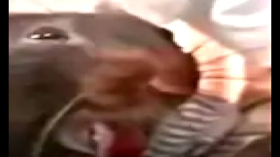 Видео к фильму Verguizas Cabronas — Burping Rat Meme from Afffirmations