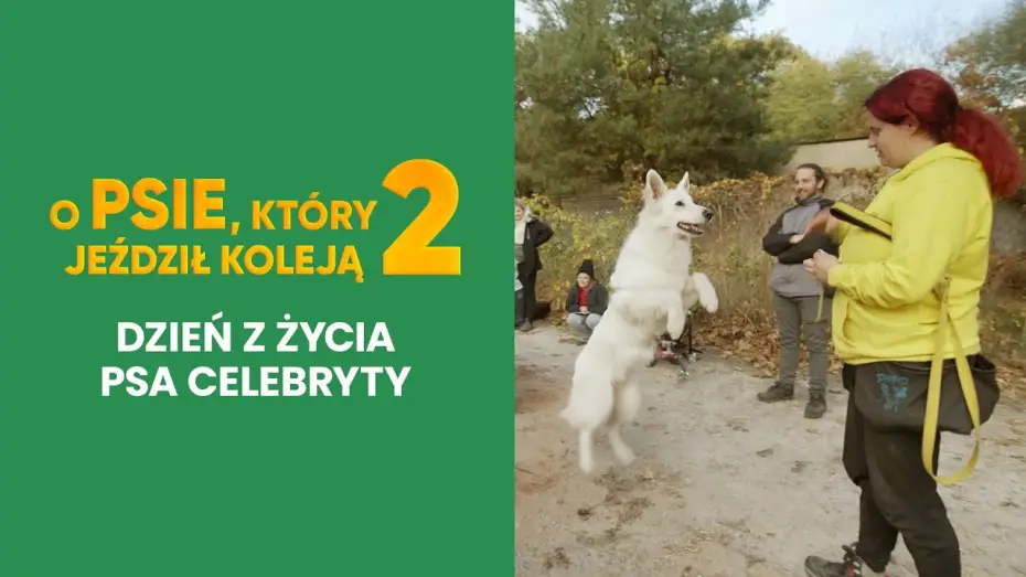 Видео к фильму O psie, który jeździł koleją 2 — Dzień z życia psa celebryty