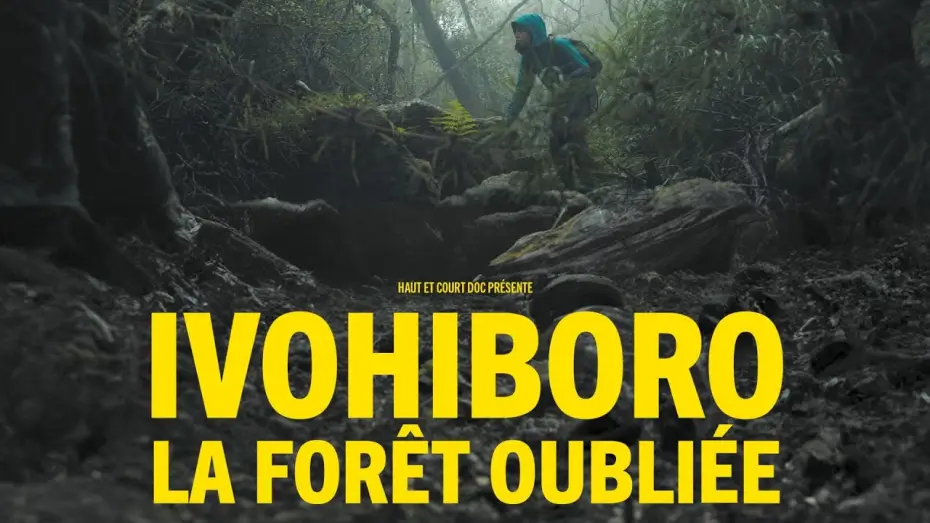 Видео к фильму Ivohiboro: La Forêt Oubliée — Ivohiboro, la forêt oubliée - bande annonce