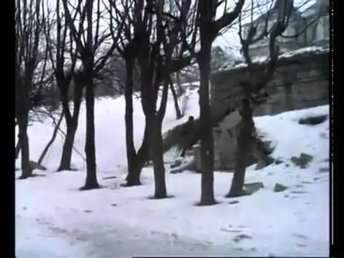 Видео к фильму Дикая охота короля Стаха — Отрывок из к-ф "Дикая охота короля Стаха"