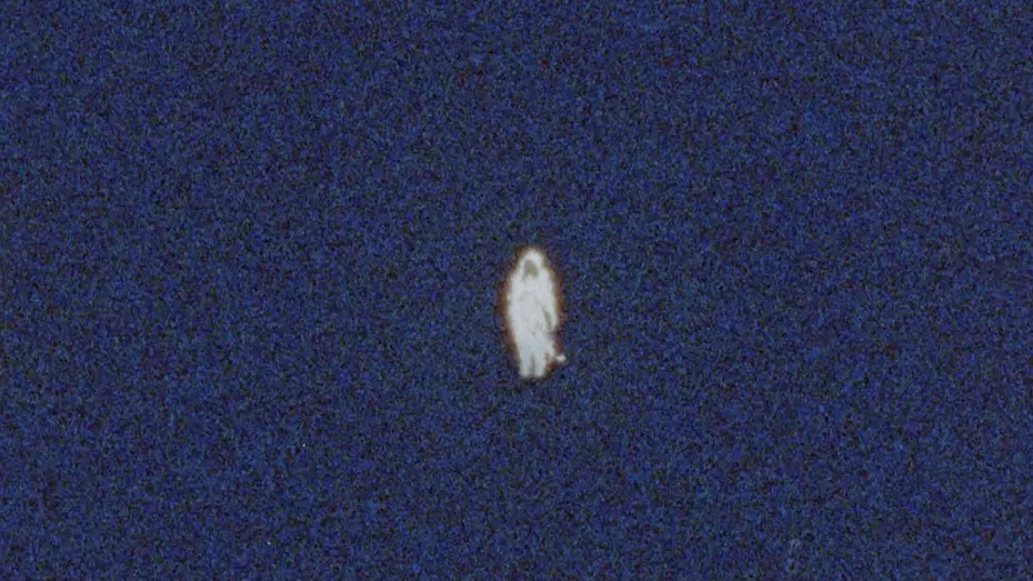 Видео к фильму Les rites de passage — Les Rites de Passage - trailer | IFFR 2025