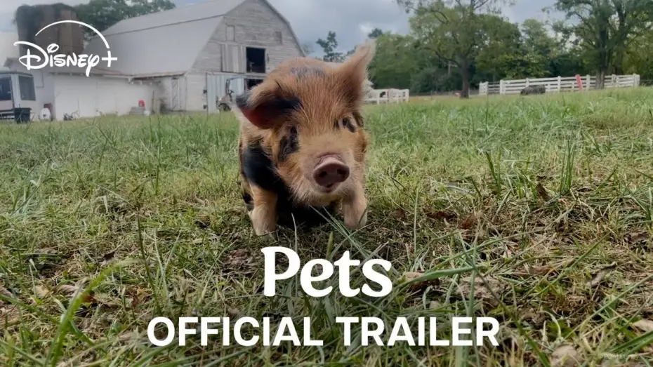 Видео к фильму Pets — Official Trailer