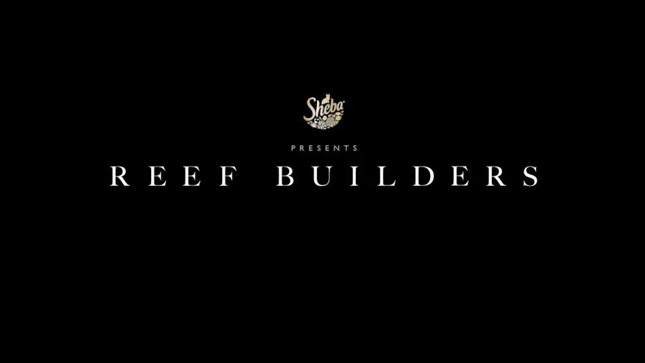 Видео к фильму Reef Builders — Trailer