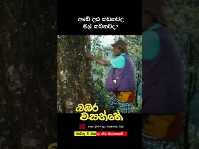 Видео к фильму බඹර වසන්තේ | අඩේ දළු කඩනවද මල් කඩනවද?!!?