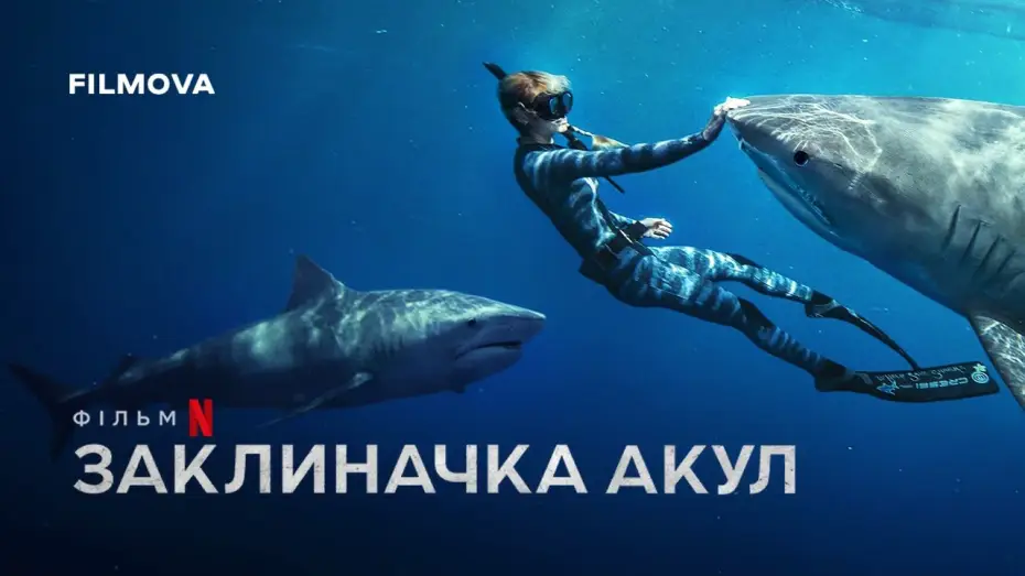 Видео к фильму ЗАКЛИНАТЕЛЬНИЦА АКУЛ — Український трейлер