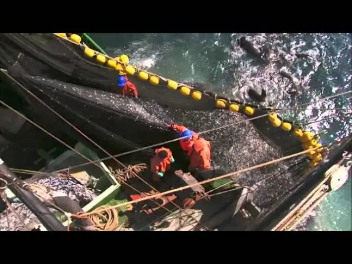 Видео к фильму Планета-океан — Planet Ocean: il trailer del film-documentario di Yann Arthus-Bertrand