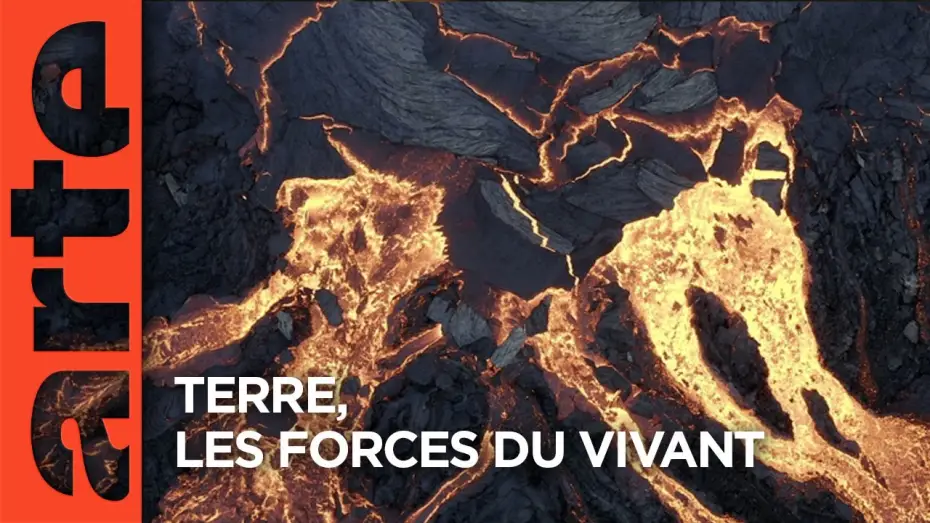 Видео к фильму Terre, Les Forces du Vivant — Terre, les forces du vivant | Documentaire | ARTE