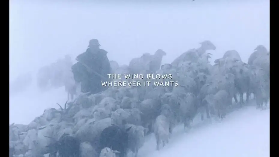 Видео к фильму The Wind Blows Wherever It Wants | "The Wind Blows Wherever It Wants" 2025 Trailer