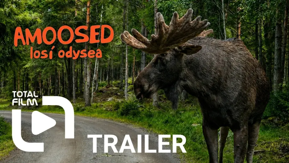 Видео к фильму AMOOSED: losí odysea — Amoosed: losí odysea (2025) HD trailer