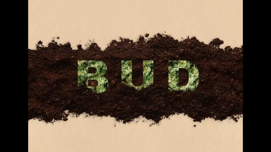 Видео к фильму BUD — Bud (Short Film Trailer) 4K