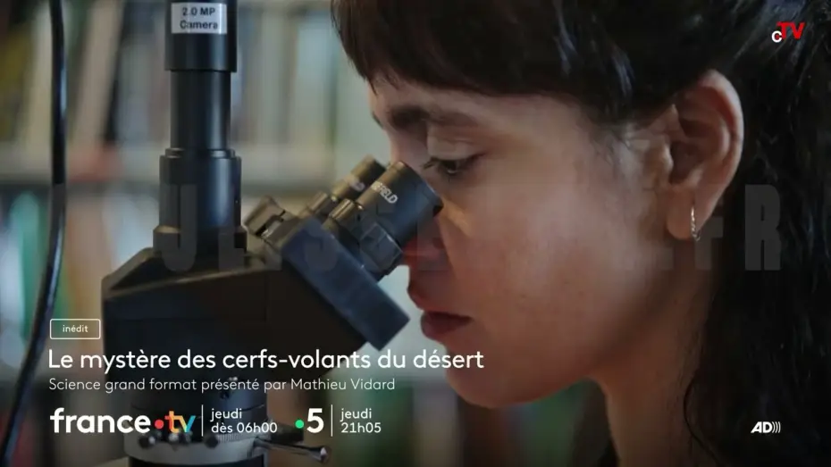 Видео к фильму Le mystère des cerfs-volants du désert — Le mystère des cerfs-volants du désert jeudi 4 décembre 2025 sur France 5