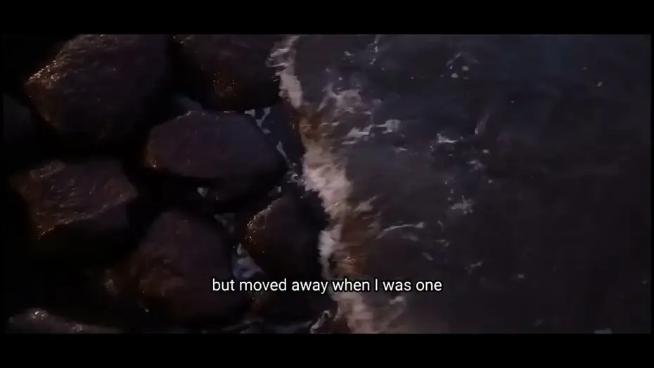 Видео к фильму When the Water Stops Flowing | Screening of my video essay "When the Water Stops Flowing" on January 3rd, 2026