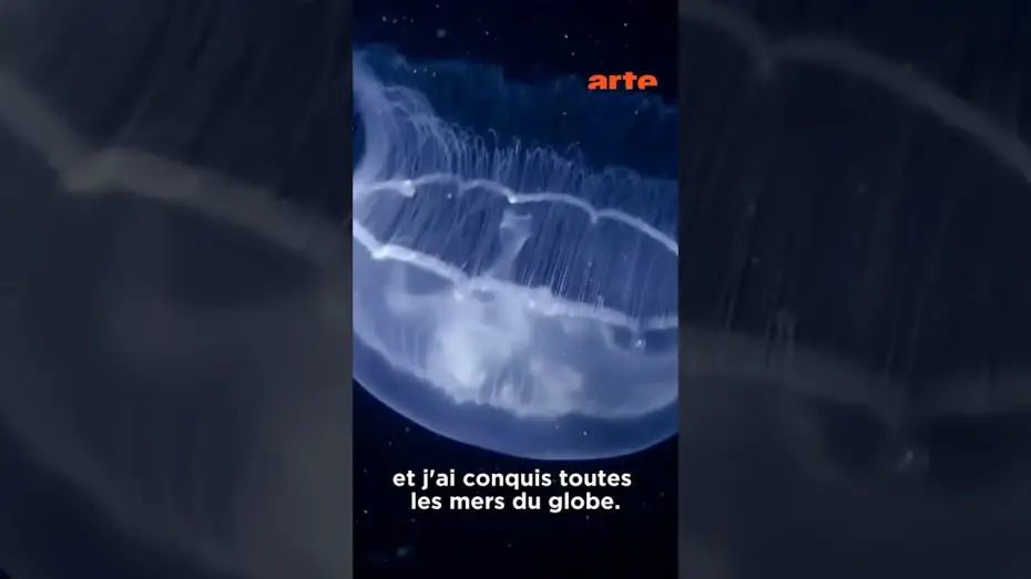 Видео к фильму Le grand cirque des marées — Les souveraines des océans 🌊 #arteévasion #méduse #animaux