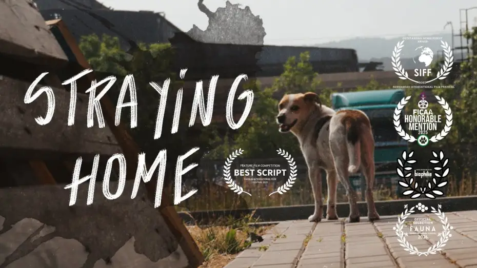 Видео к фильму Straying home — Straying home. A film essay with urban animals