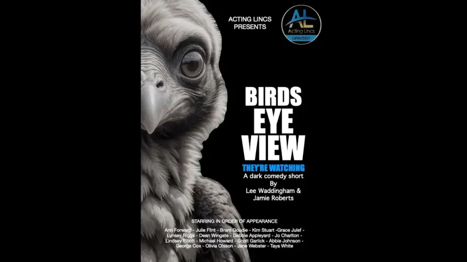 Видео к фильму Birds Eye View | BIRDS EYE VIEW