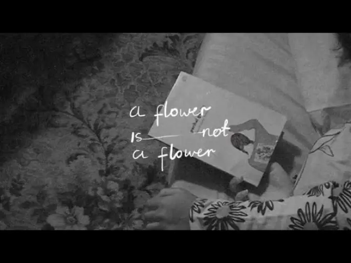 Видео к фильму A Flower is Not a Flower — A FLOWER IS NOT A FLOWER - Teaser Trailer