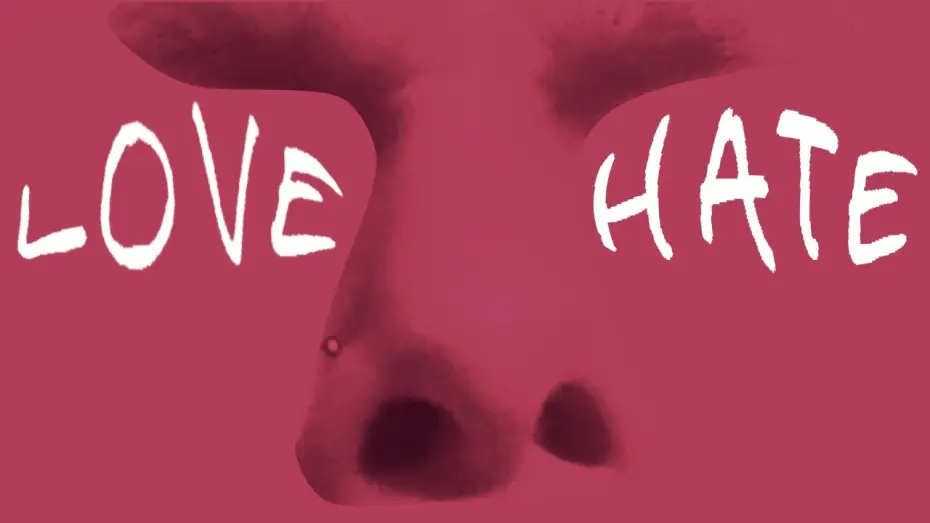 Видео к фильму I Love/Hate The Aide | I Love/Hate The Aide | Music Short Film