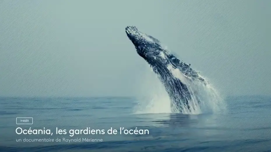 Видео к фильму Océania, les gardiens de l'océan — [Bande annonce] Océania, les gardiens de l'océan