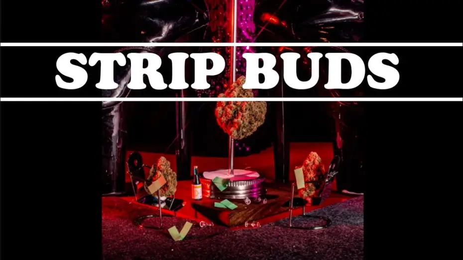 Видео к фильму Strip Buds | Strip Buds FICC Submission