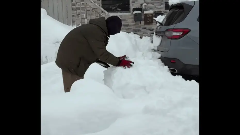 Видео к фильму Snowday — Snowday