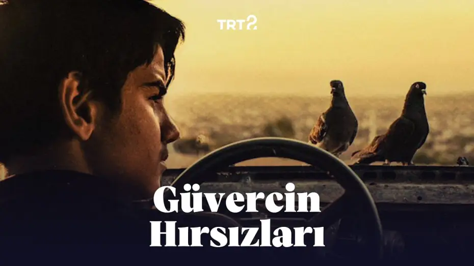 Видео к фильму Güvercin Terbiyecisi Hammal — Güvercin Hırsızları | Fragman