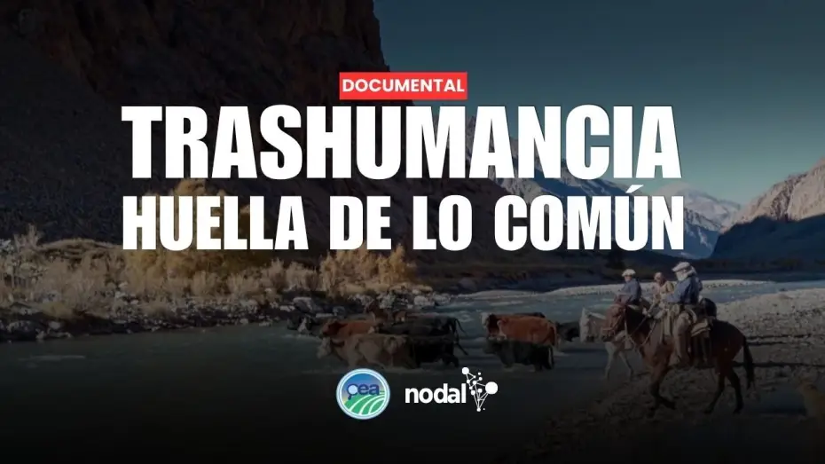 Видео к фильму TRASHUMANCIA. HUELLA DE LO COMÚN — TRASHUMANCIA. HUELLA DE LO COMÚN | Documental del Centro de estudios Agrarios y NODAL