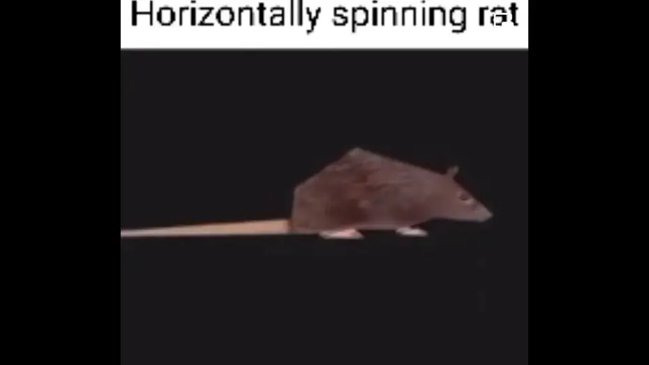 Видео к фильму Roberto — horizontally spinning rat