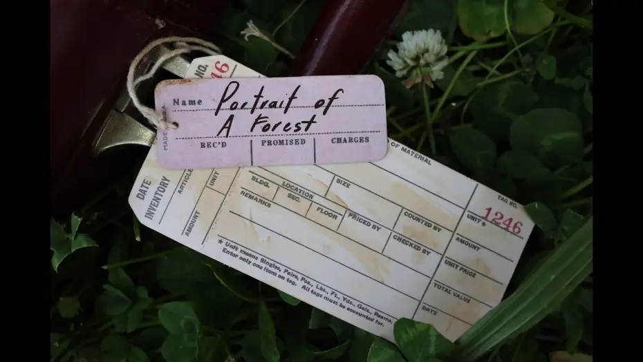 Видео к фильму Portrait of a Forest — Portrait of a Forest