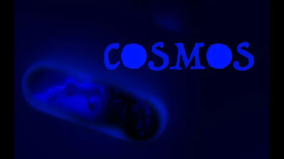 Видео к фильму Cosmos — COSMOS