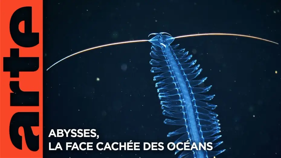 Видео к фильму Faszination Tiefsee - Expedition zum Grund der Meere — Abysses, la face cachée des océans - Extrait | Documentaire | ARTE
